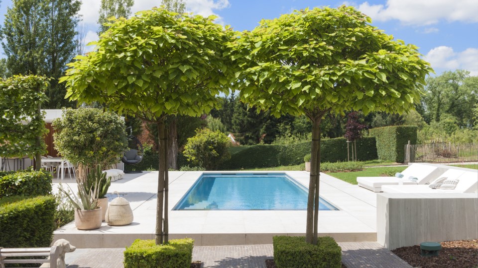 Opzetzwembad voor je tuin