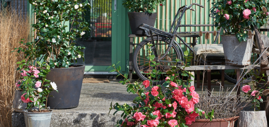 Een mediterraan terras