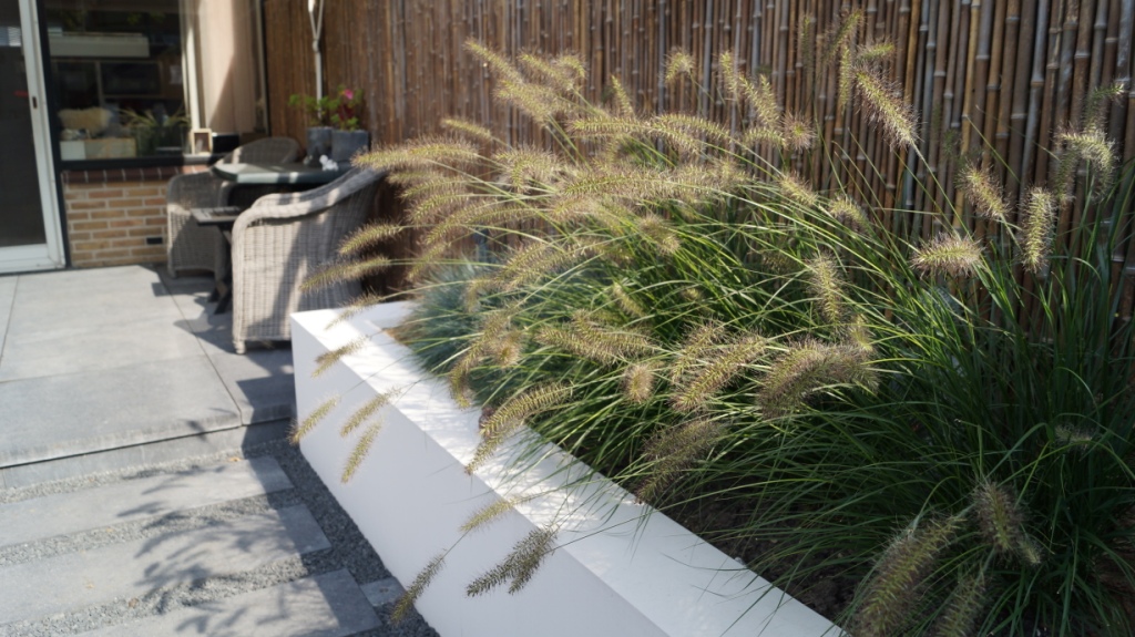 Strakke border beplanting