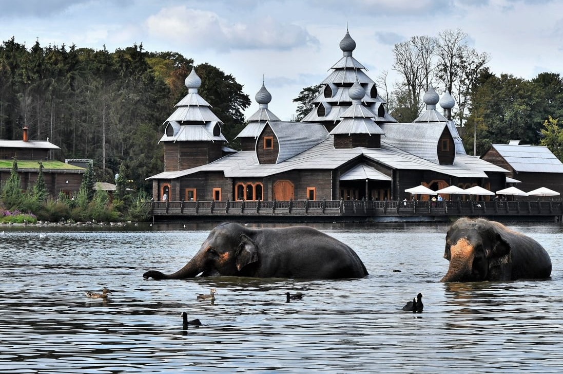 De beste zoo van Europa: Laat je beestig overdonderen in Pairi Daiza: 7500 dieren en ’s werelds grootste tropische serre