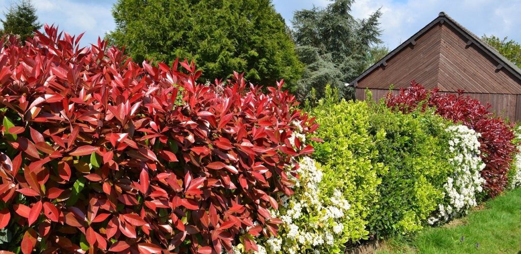 Natuurlijke tuinafsluitingen met bloeiende bloemen en planten
