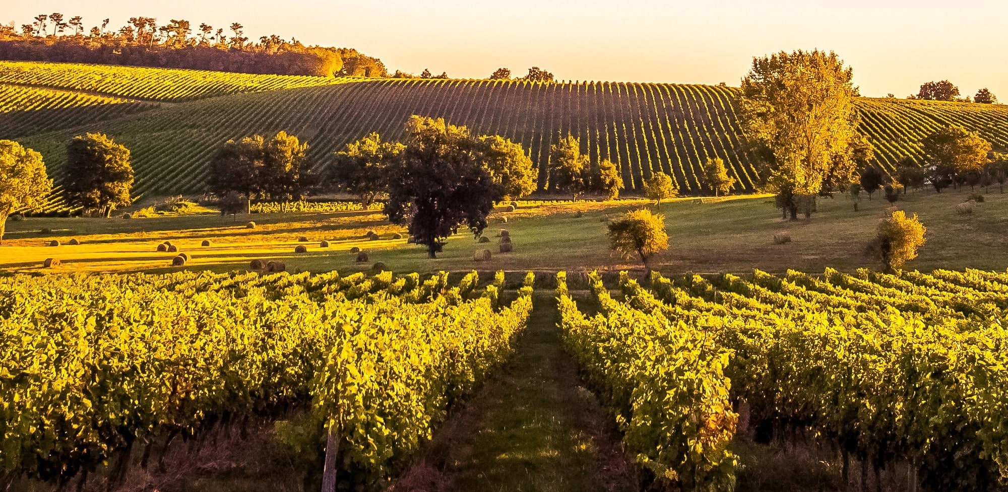 Bordeaux in een hideaway tussen heuvels en wijngaarden: La Vigne d’Or, zomers geluk in een hideaway tussen heuvels en wijngaarden